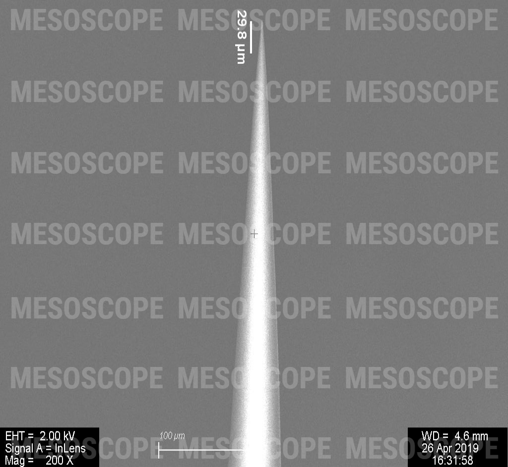 SA025CR100-3